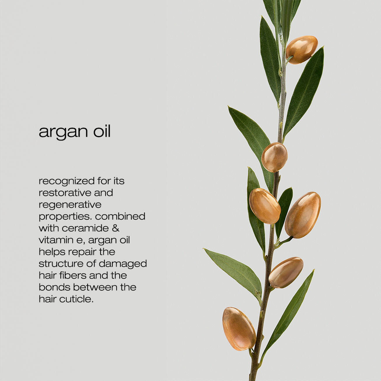 Shu uemura Silk Bloom Conditioner