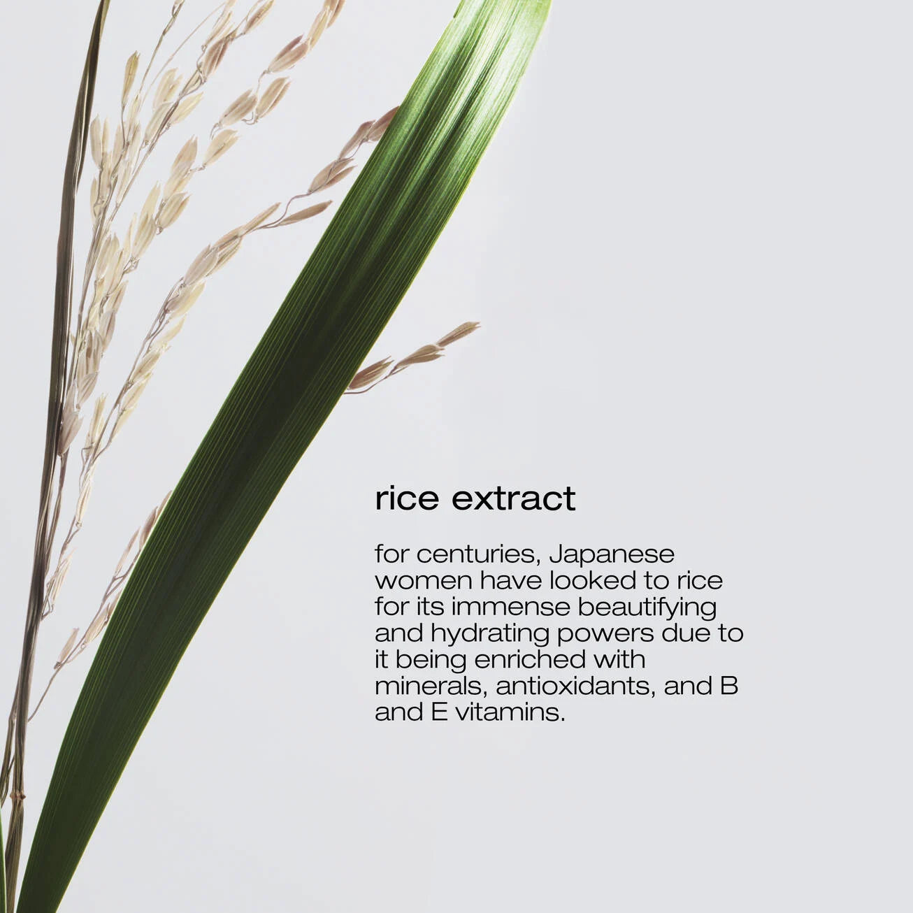 Shu Uemura Ultimate Reset Shampoo
